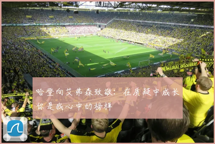 哈登向艾弗森致敬：在质疑中成长你是我心中的榜样