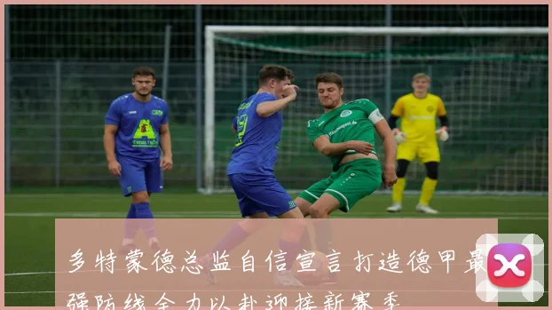 多特蒙德总监自信宣言打造德甲最强防线全力以赴迎接新赛季