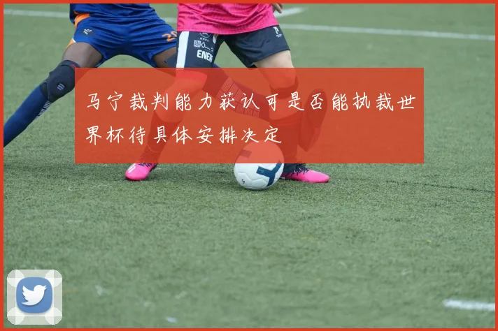 马宁裁判能力获认可是否能执裁世界杯待具体安排决定